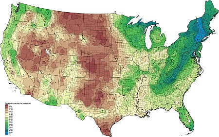2tax01_FernsLycophytes.png 2tax01_FernsLycophytes.png